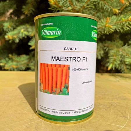 ԳԱԶԱՐ ՄԱԵՍՏՐՈ F1