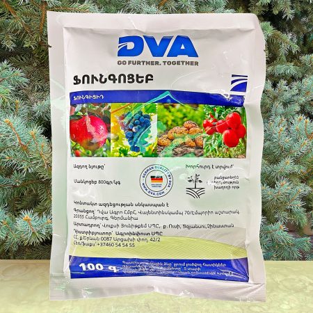 ՖՈՒՆԳՈՑԵԲ